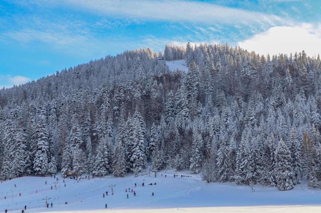 Villa Nosal - Zakopane Kültér fotó